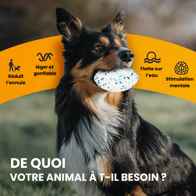 Balle pour chien indestructible