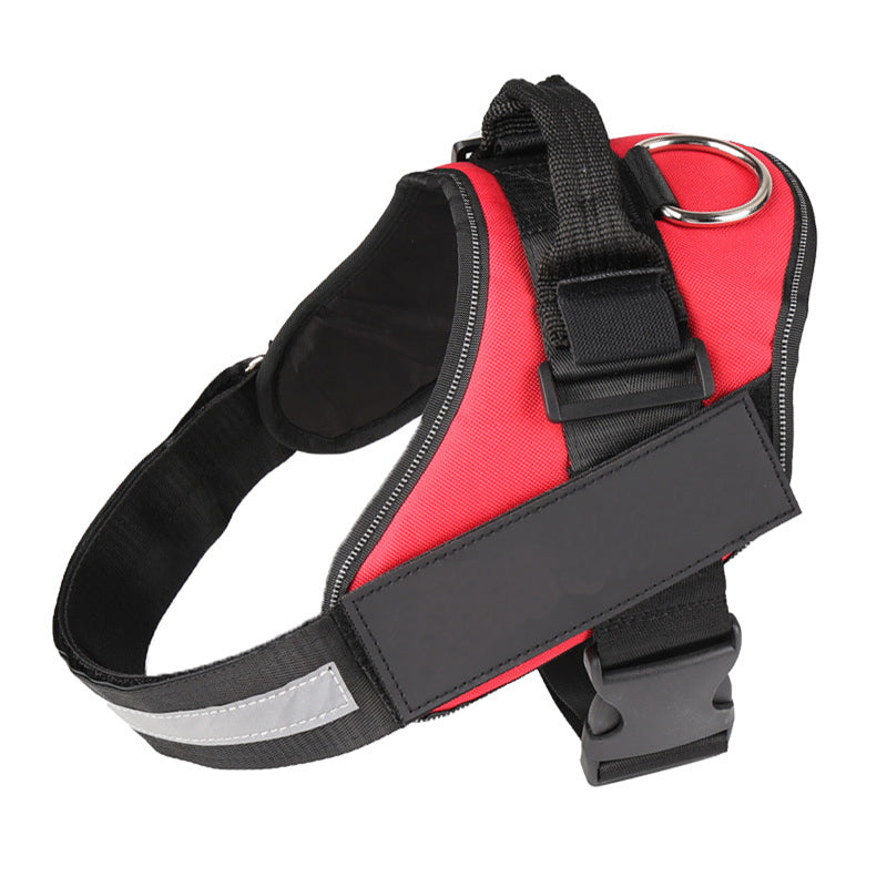 Harnais pour chien personnalisable