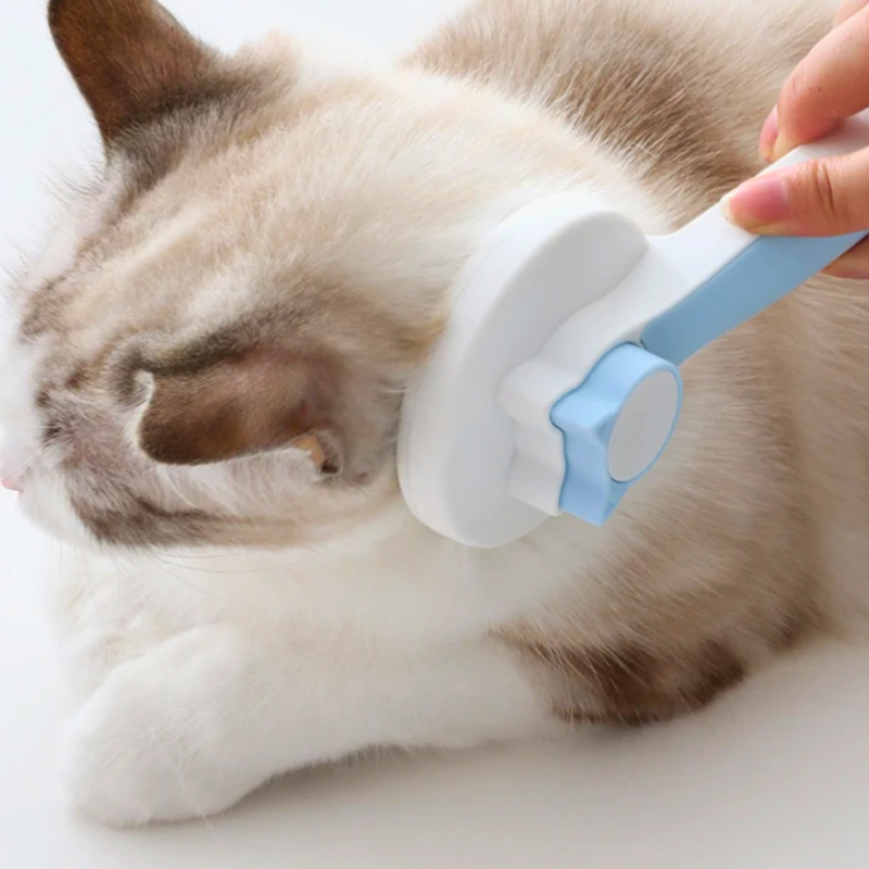 Brosse de toilettage pour chien et chat