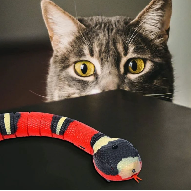 Jouet interactif serpent pour chat
