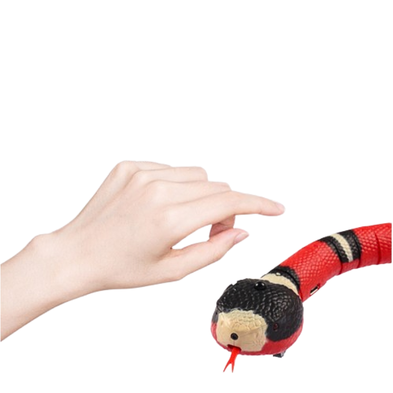 Jouet interactif serpent pour chat