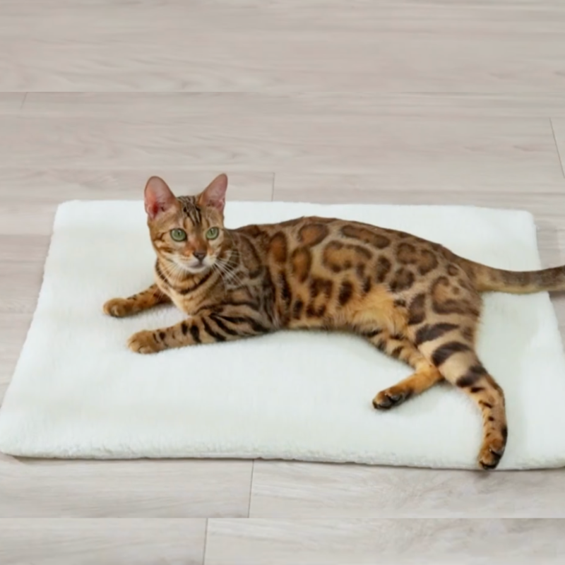 Tapis thermique